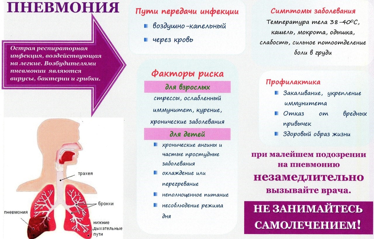 Здоровье | МАОУ 